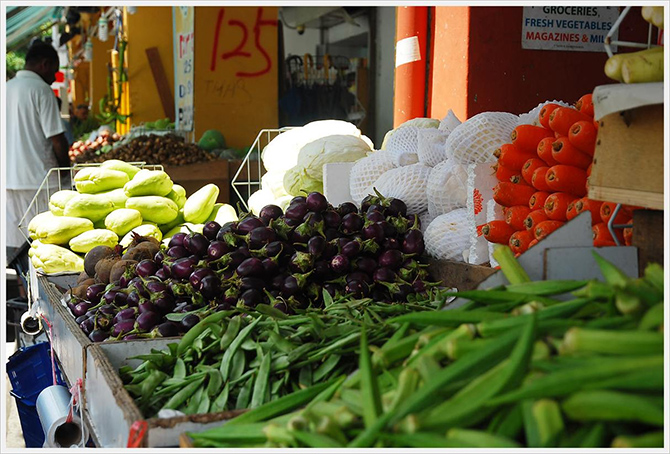 580609 food2